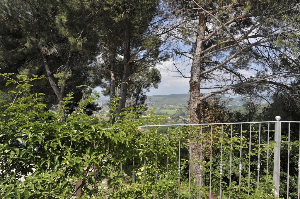 Agriturismo La Grotta San Giuliano Terme Eksteriør bilde